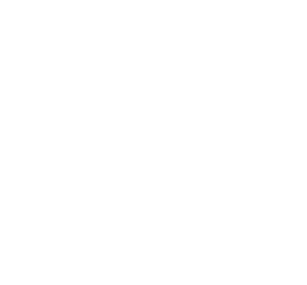 PSO-logo